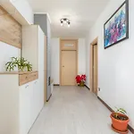 1 Bedroom Lovely In Pilkovici Pajkovici